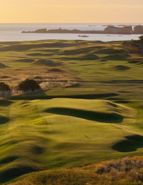 North Berwick - ABOUT