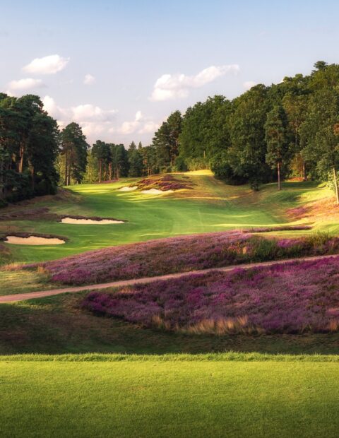 St. George's Hill Golf Club
