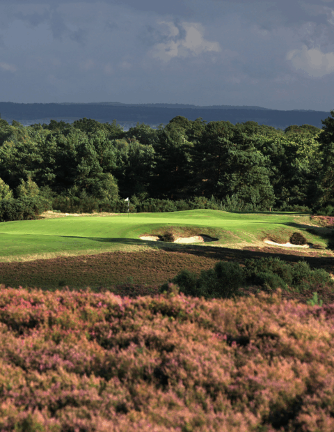 Sunningdale (New)