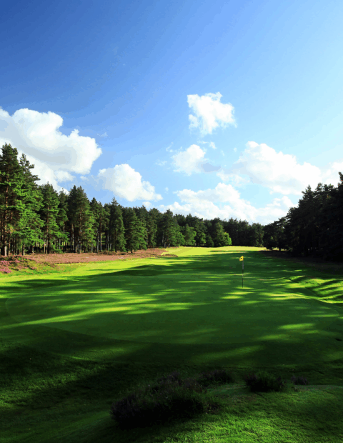 Sunningdale (New)
