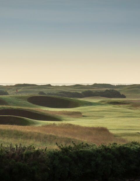 The Carnoustie ABOUT 1