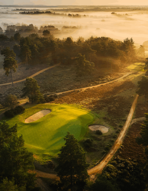 HC About Us 2 Hankley Common