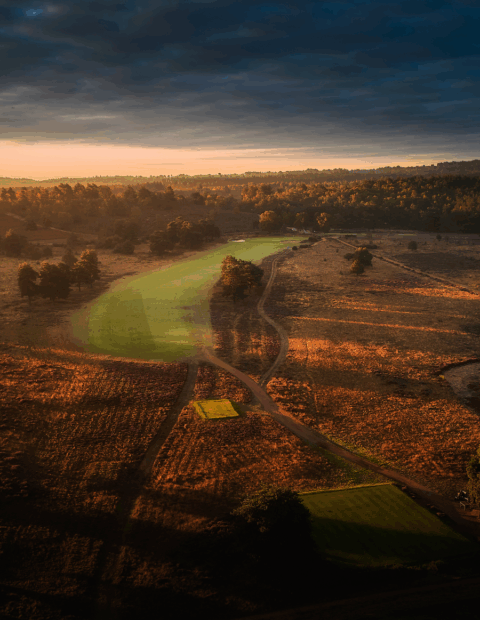 HC About Us Hankley Common