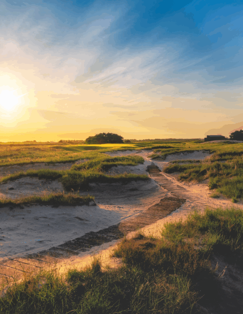 Princes About Us Princes