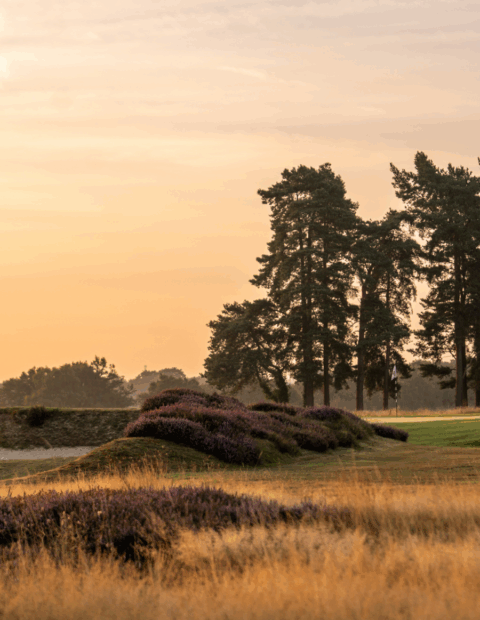 Walton Heath