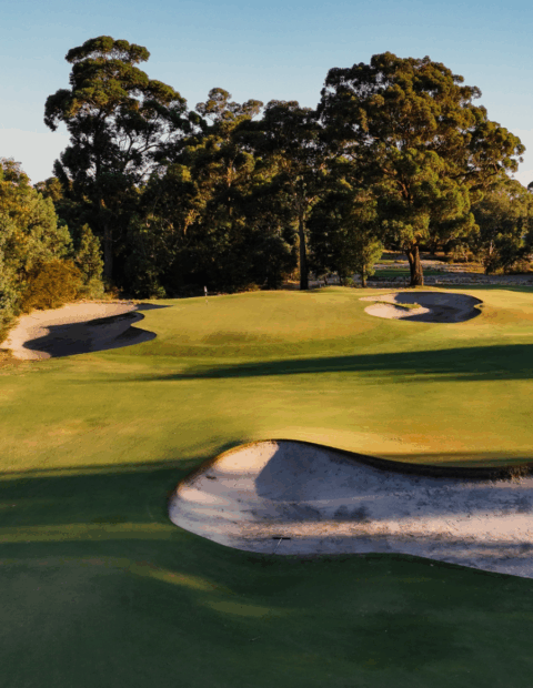 Metropolitan About 2 Metropolitan