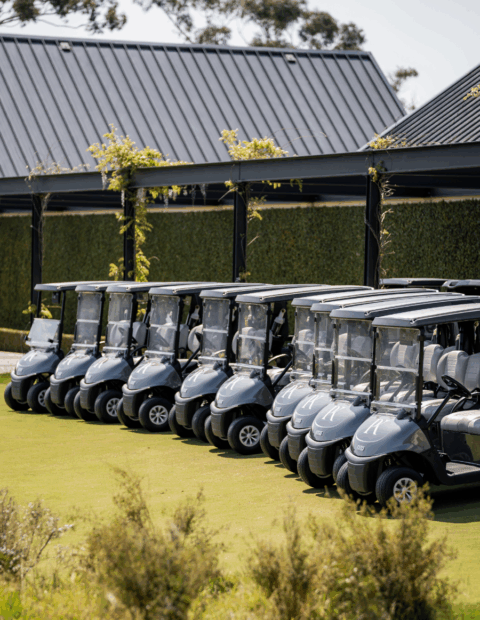 Peninsula Kingswood (South)