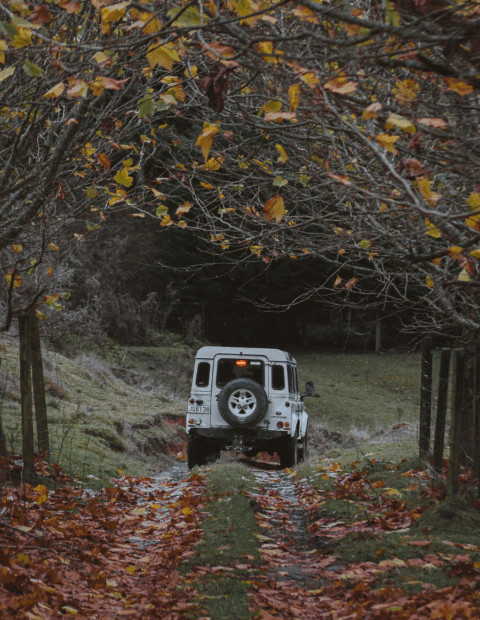 Treetops Lodge & Estate