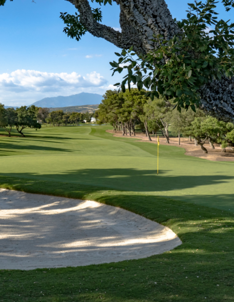 Real Club de Golf Sotogrande