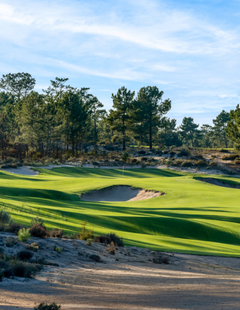 Terras da Comporta (Dunas)