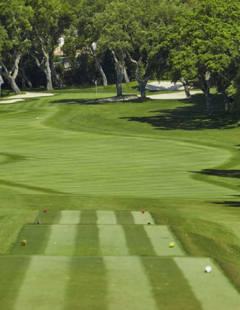 Real Club Valderrama