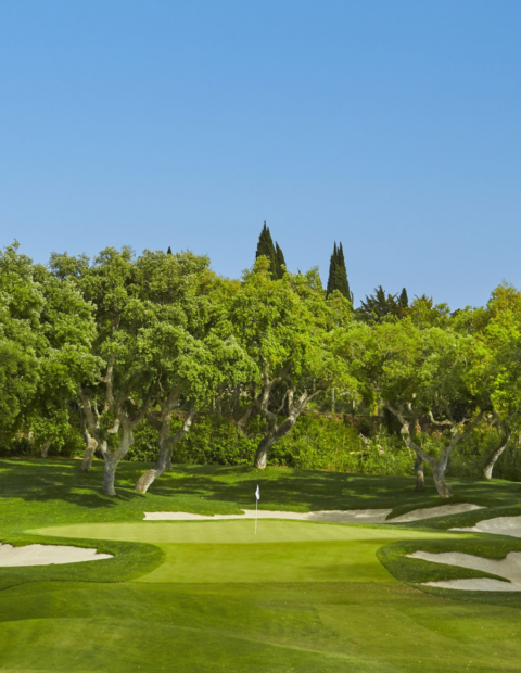 Real Club Valderrama