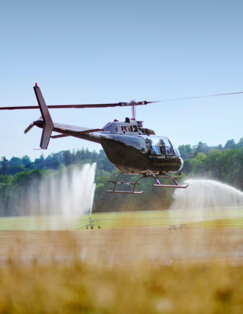 Cowort Park About Coworth Park