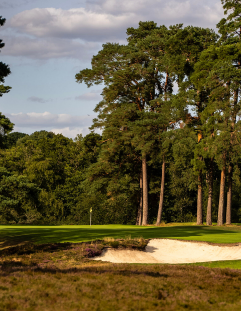 West Sussex About-2 West Sussex