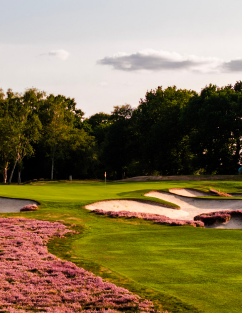 West Sussex About West Sussex