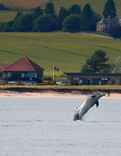 Fortrose & Rosemarkie