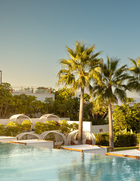 SO About SO/ Sotogrande